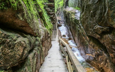 5 Summer Activities to Explore New Hampshire